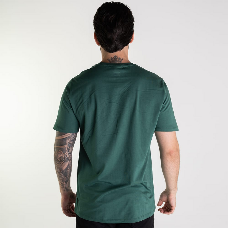 Kit 5 Camisetas Lacoste Croco Basic + 3UN Cuecas Boxer de Brinde